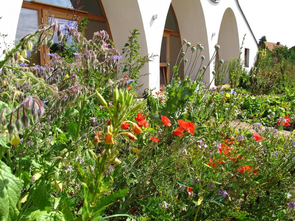 Gästehaus am Wangeliner Garten Exterior foto